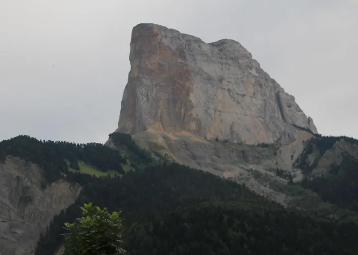 Le Cocon